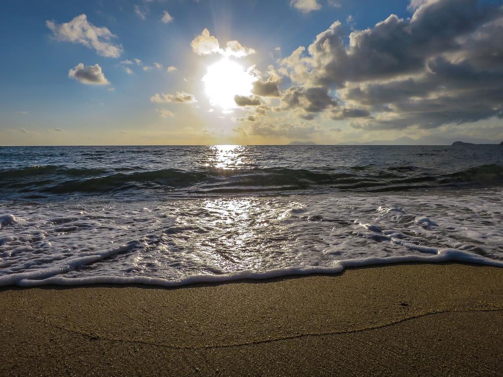 Cairns Beaches Flashpackers Palm Cove Eksteriør bilde